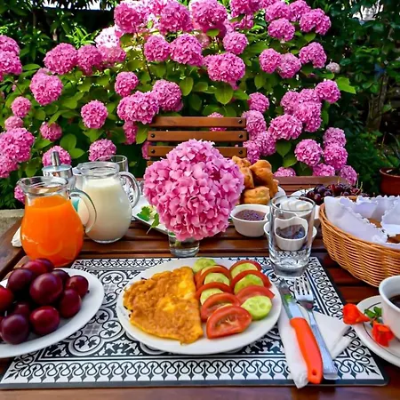 Palorto Inn Gjirokaster