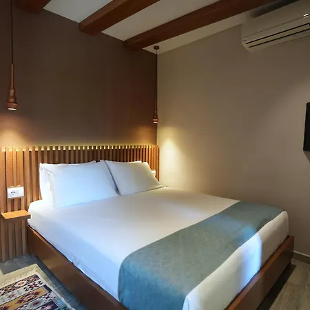 Palorto Gjirokastër