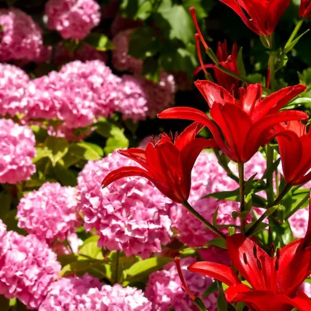 Palorto Estalagem Gjirokastër