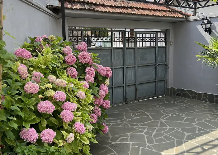 Palorto 3* Gjirokastra