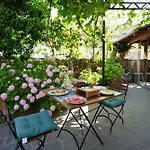 Palorto 3*