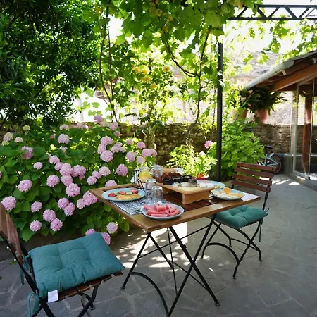 Palorto 3*