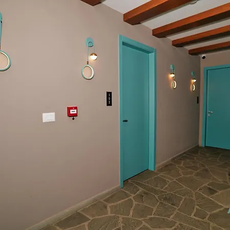 Palorto Gjirokastër