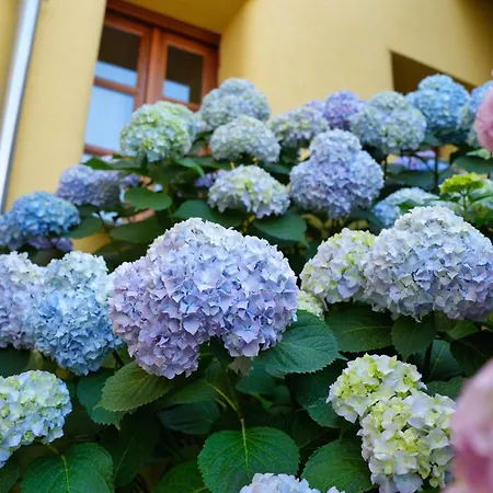 Palorto بيت ريفي