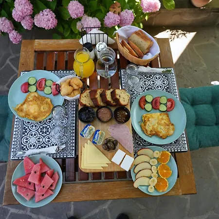 Palorto Gjirokastër